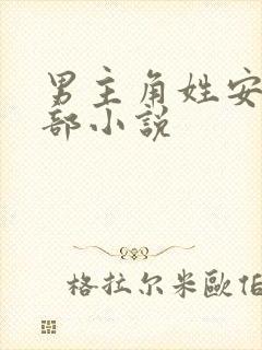 男主角姓安的全部小说