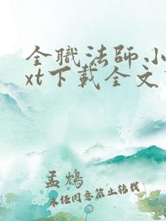 全职法师小说txt下载全文下载