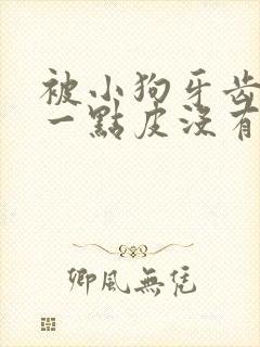 被小狗牙齿划伤一点皮没有出血有事吗