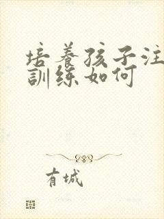 培养孩子注意力训练如何