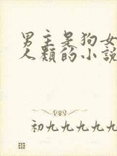 男主是狗女主是人类的小说