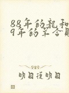 88年的龙和79年的羊合财吗
