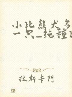 小比熊犬多少钱一只_纯种比熊价格