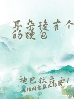 耳朵后有个凸起的硬包