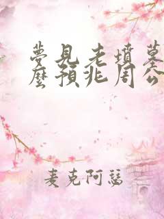 梦见老坟墓是什么预兆周公解梦