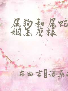 属狗和属蛇的婚姻怎么样