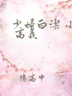 少妇白洁 小说 高义