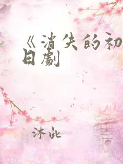 《消失的初恋》日剧