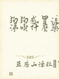 狗狗感冒流黄鼻涕吃什么药好得快