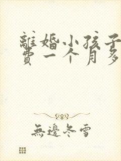 离婚小孩子抚养费一个月多少钱