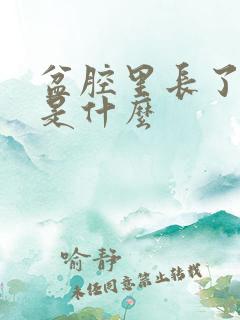 盆腔里长了包块是什么