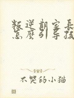 叛逆期家长应该怎么引导孩子