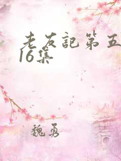 老友记第五季第16集