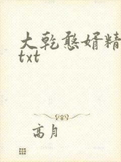 大乾憨婿精校版txt