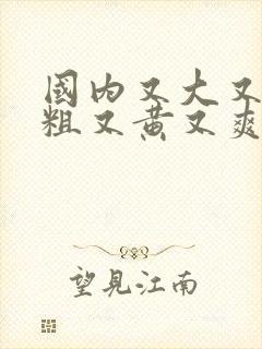 国内又大又长又粗又黄又爽