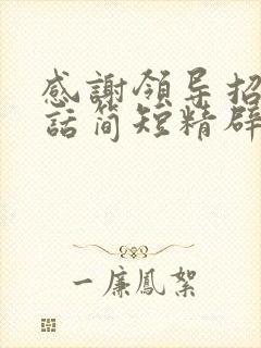 感谢领导招待的话简短精辟