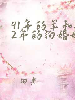 91年的羊和82年的狗婚姻怎么样