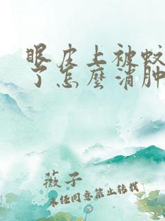 眼皮上被蚊子咬了怎么消肿