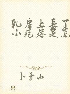 乳房上长了很多小疙瘩是怎么回事