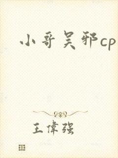 小哥吴邪cp文