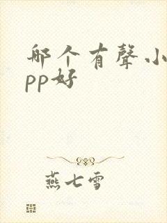 哪个有声小说app好