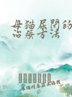 母猫尿闭的快速治疗方法