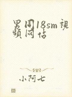 男同18sm视频网站