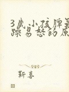 3岁小孩脾气暴躁易怒的原因