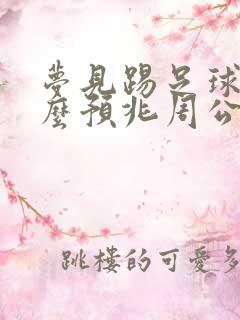 梦见踢足球是什么预兆周公解梦