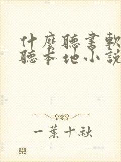 什么听书软件能听本地小说