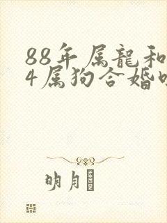 88年属龙和94属狗合婚吗