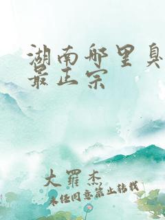 湖南哪里臭豆腐最正宗