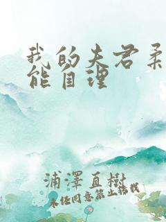 我的夫君柔弱不能自理