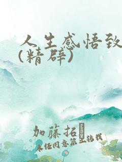 人生感悟致自己(精辟)