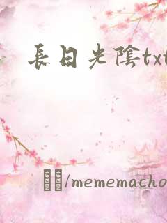 长日光阴txt
