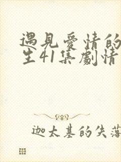 遇见爱情的利先生41集剧情