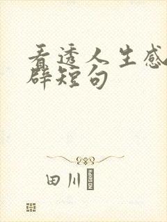 看透人生感悟精辟短句