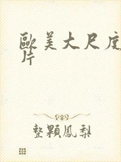 欧美大尺度一级片