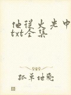 他从火光中走来txt全集