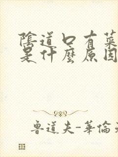 阴道口有菜花状是什么原因