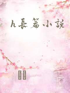h长篇小说