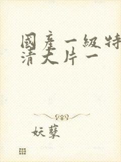 国产一级特黄高清大片一