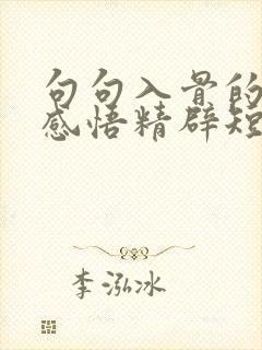 句句入骨的人生感悟精辟短句