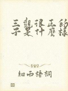 三观很正的女孩子是什么样的