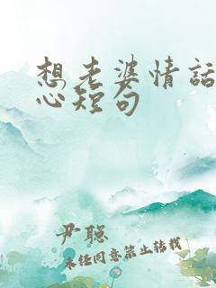 想老婆情话最暖心短句