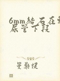 6mm结石在输尿管下段