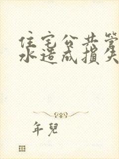 住宅公共管道漏水造成损失谁负责