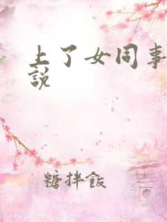 上了女同事 小说