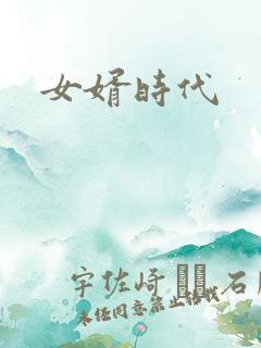 女婿时代