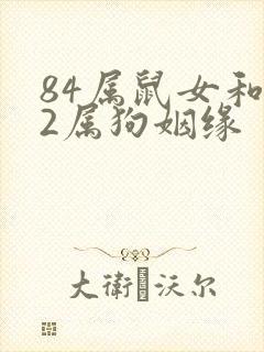 84属鼠女和82属狗姻缘